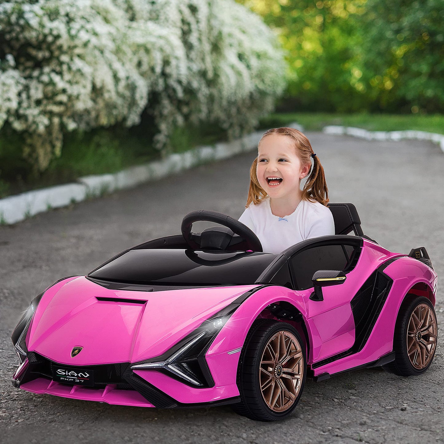 Carro Elétrico Lamborghini SIAN 12V para Crianças +3 Anos, com Controlo Remoto, Música MP3, Portas Abertas e Faróis